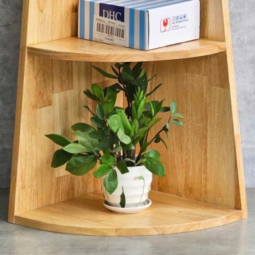 Wooden Corner Shelf